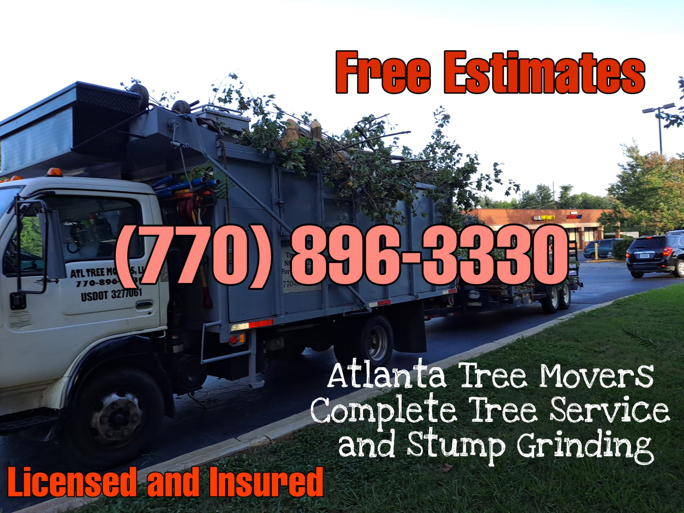 Photo Gallery | Tree Services In Atlanta | TREE REMOVAL SERVICES