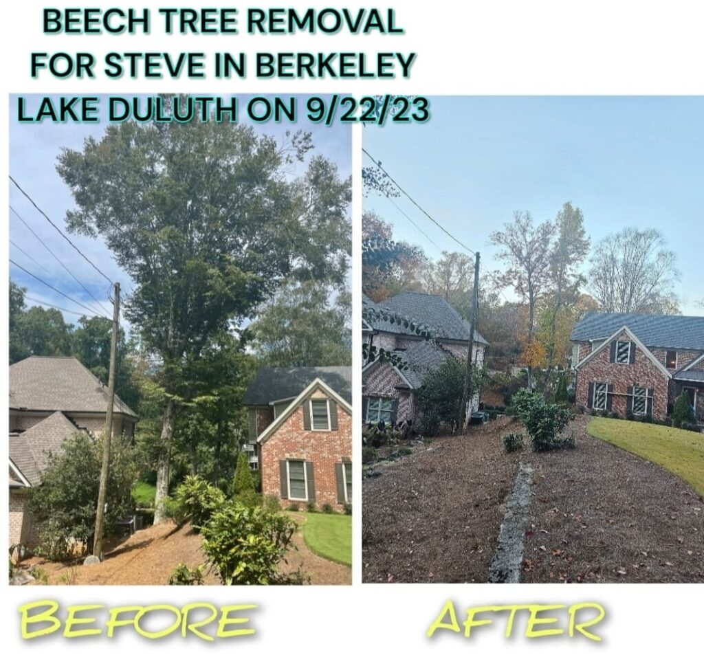 Tree Removal in Berkeley Lake GA