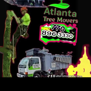 Contact Atlanta Tree Movers