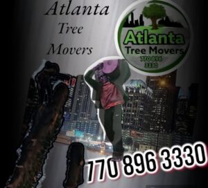 Screenshot_20240309_232602_Photoroom