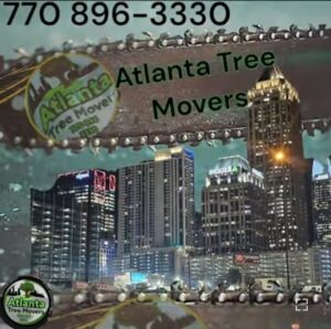 Screenshot_20240714_161207_YouTube