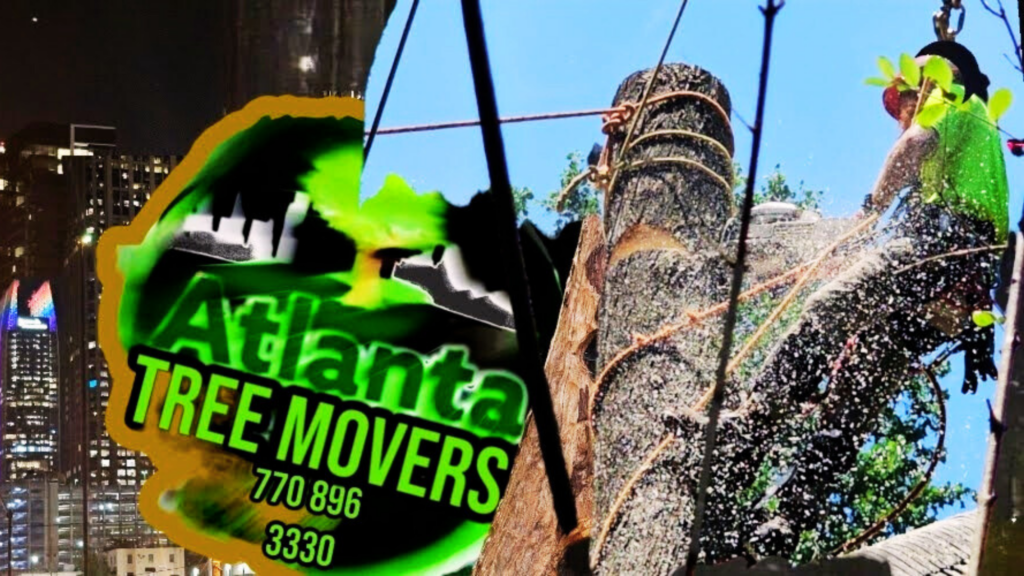 Tree Removal in Atlanta