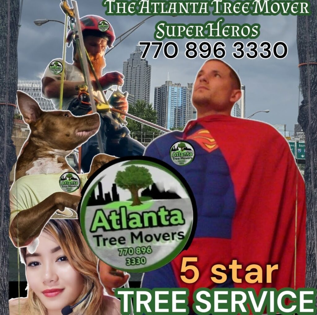 AboutTree Removal