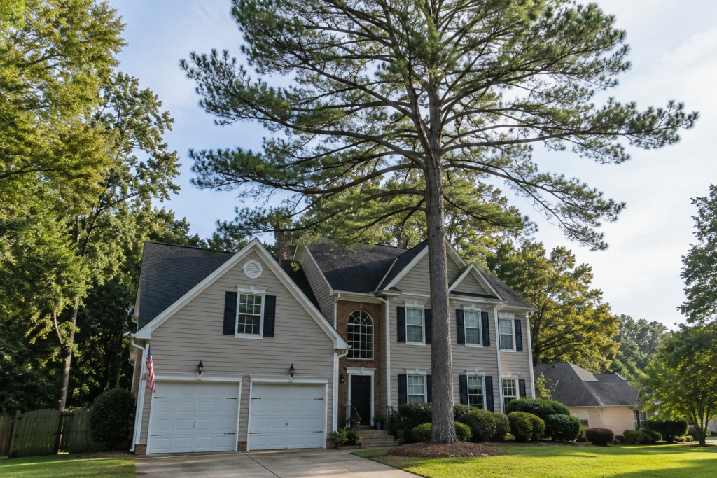 Freshly ground tree stump with wood chips in a residential lawn